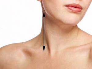 A set of exercises for a beautiful neck